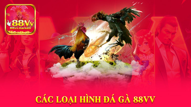 Các Loại Hình Đá Gà 88vv